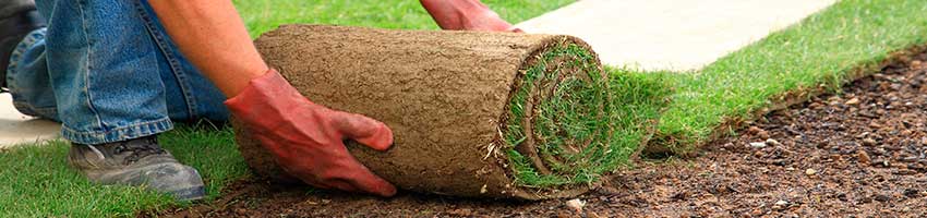 landscaping-page